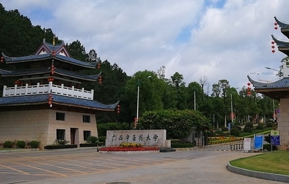 Vt(y)ˎW(xu)PM2ƽ_(ti)  ޿(sh)ֻ(bio)U